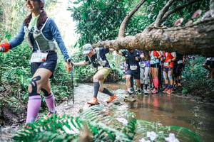 BIB: 
                            <button type="button" onclick="openModal(25471591)" class="btn btn-primary btn-sm float-right btn-popup" data-toggle="modal" data-target=".modal-high-quality">
                        <i class="fas fa-shopping-cart"></i> Add to Cart
                    </button>
                                            <button type="button" onclick="isThisMe(25471591, true)" class="btn btn-success btn-sm float-right btn-popup btn-isme hidden" data-toggle="tooltip" data-placement="bottom" title="นี่คือรูปของคุณใช่ไหม คลิกที่นี่เพื่อเอาเข้าอัลบั้ม">
                        <i class="fas fa-plus"></i> Add to album
                    </button>
                    <button type="button" onclick="isThisMe(25471591, false)" class="btn btn-warning btn-sm float-right btn-popup btn-isnotme hidden">
                        <i class="fas fa-ban"></i> Remove from album
                    </button>